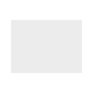 Revestimento Retificado Branco 37x74